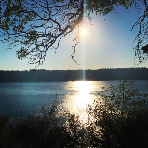 在位于华盛顿州塔科马港市的 Point Defiance Beach，清理工作已经变成周六的社会活动。